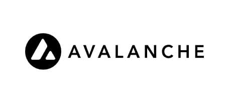 Avalanche, Internet of Assets